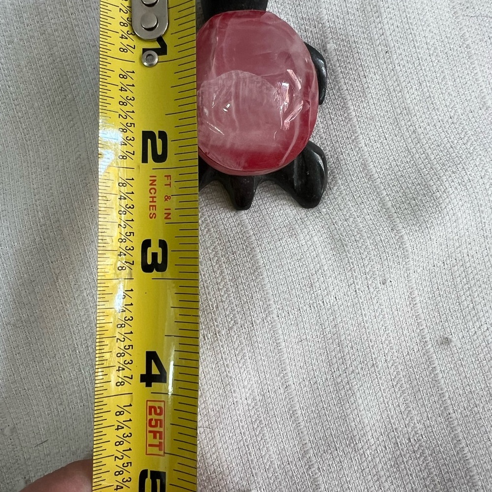 Pink shell‎ turtle - Picture 4 of 4